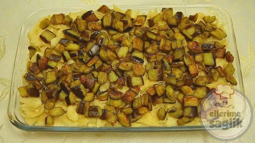 Patlıcan Kaypak