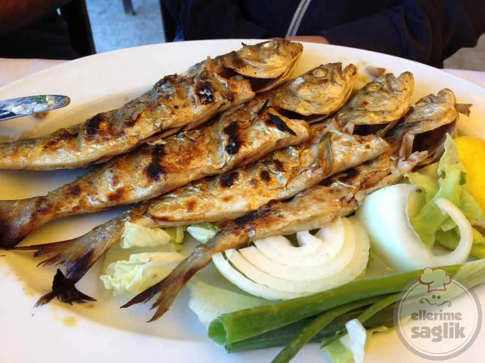 Çinekop Izgara
