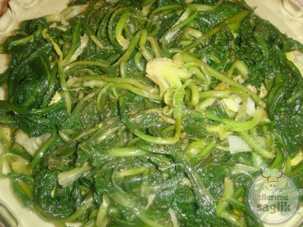 Radika Salatası