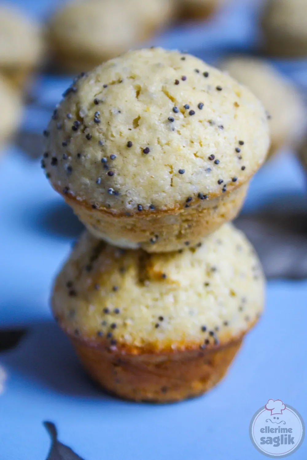 Haşhaşlı Cupcake